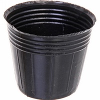 A145174 articul-A145174