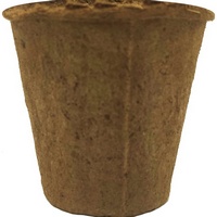 A154732 articul-A154732