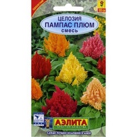 A156060 articul-A156060