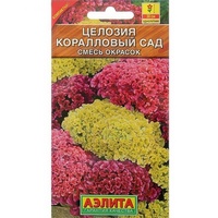 A172419 articul-A172419