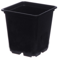 A248865 articul-A248865