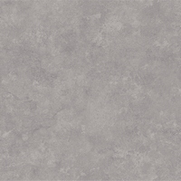 articul-A307433