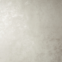 articul-A311544
