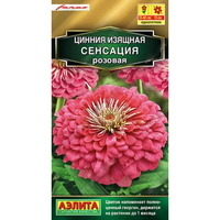A324167 articul-A324167