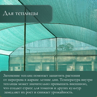 articul-A342027-2